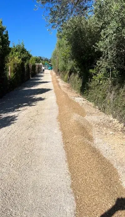 Spargimento risone - stradina